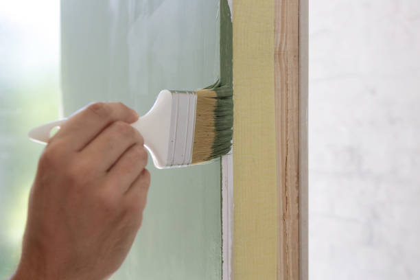 Mold Odor Removal Services in Sparta, IL