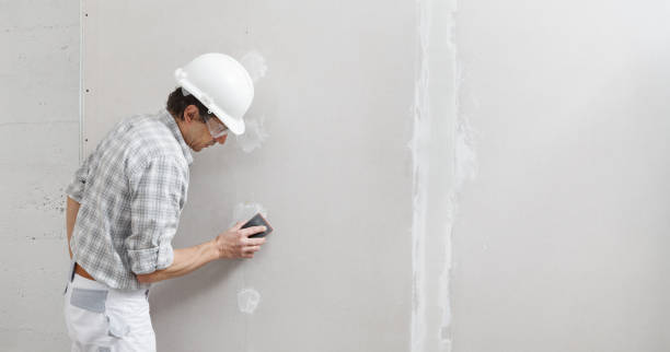 Best Post-Remediation Verification Testing  in Sparta, IL