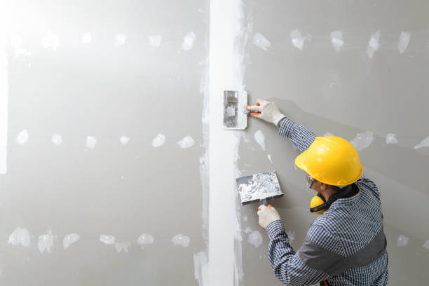 Best Industrial Mold Remediation  in Sparta, IL