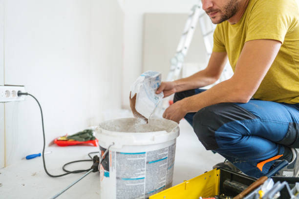 Best Attic Mold Removal  in Sparta, IL