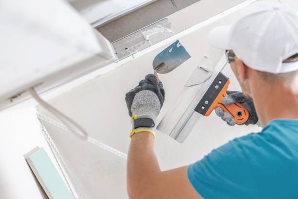 Best Water Damage & Mold Remediation  in Sparta, IL